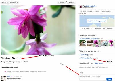 Flickr to Market Your Business