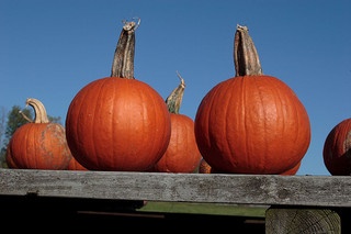 inbound marketing pumpkins