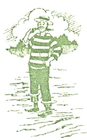 Mr Shadd 