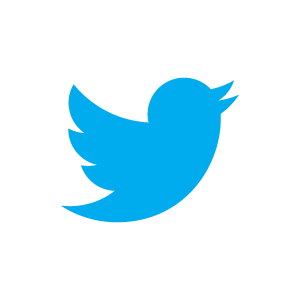 twitter bird blue on white