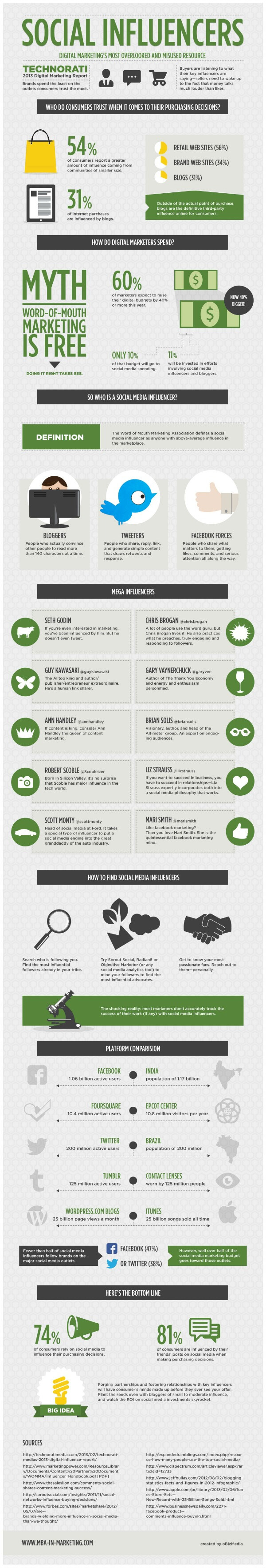 social influencers infographic