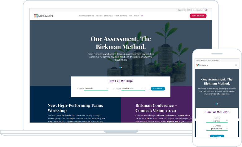 birkman-responsive-mockup