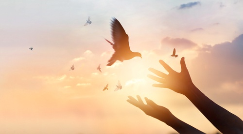 HubSpot Free