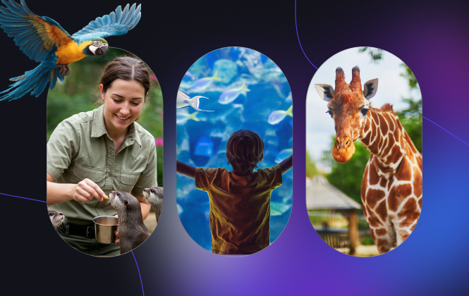 zoo-case-study-thumbnail