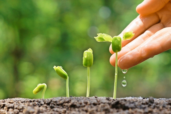 How to Effectively Nurture Your B2B Leads