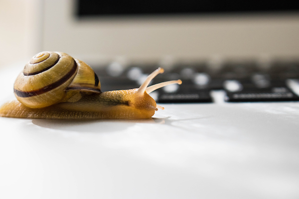 5 Reasons Why Your WordPress Website Is Too Damn Slow