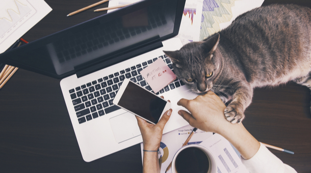 Working From Home 101 - Tips From Remote Work Experts