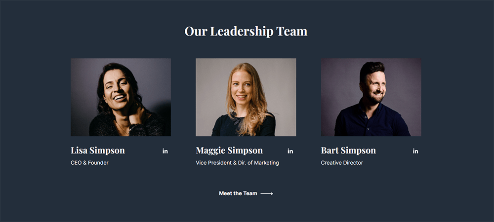 leadership-dark